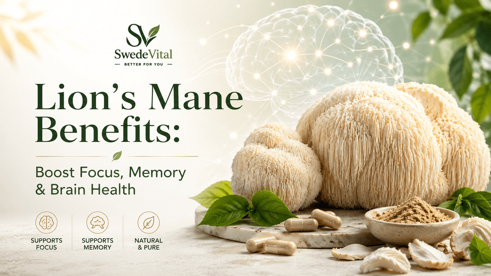 Lion’s Mane Benefits: Boost Focus, Memory & Brain Health