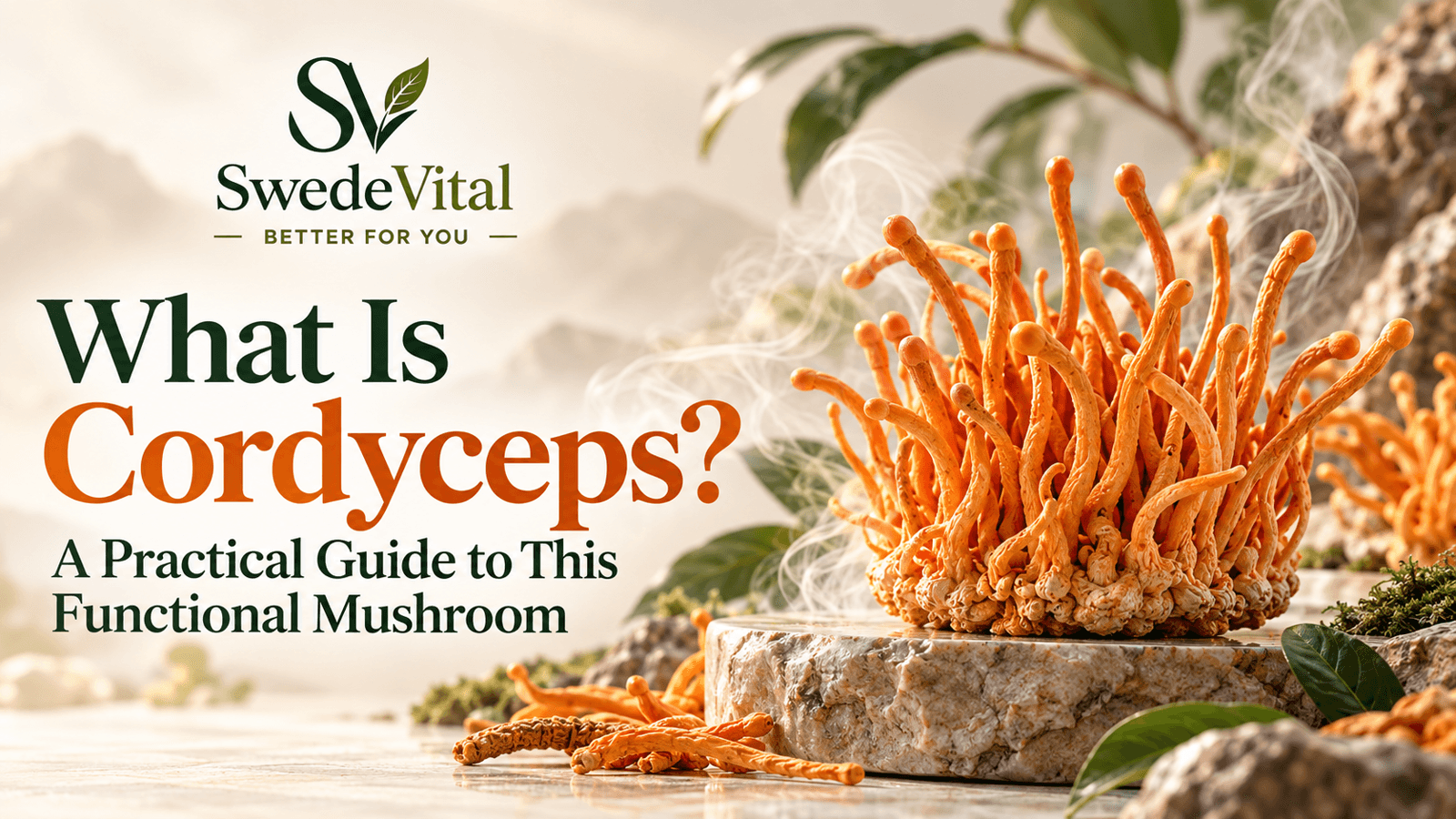 What Is Cordyceps? A Practical Guide to This Functional Mushroom