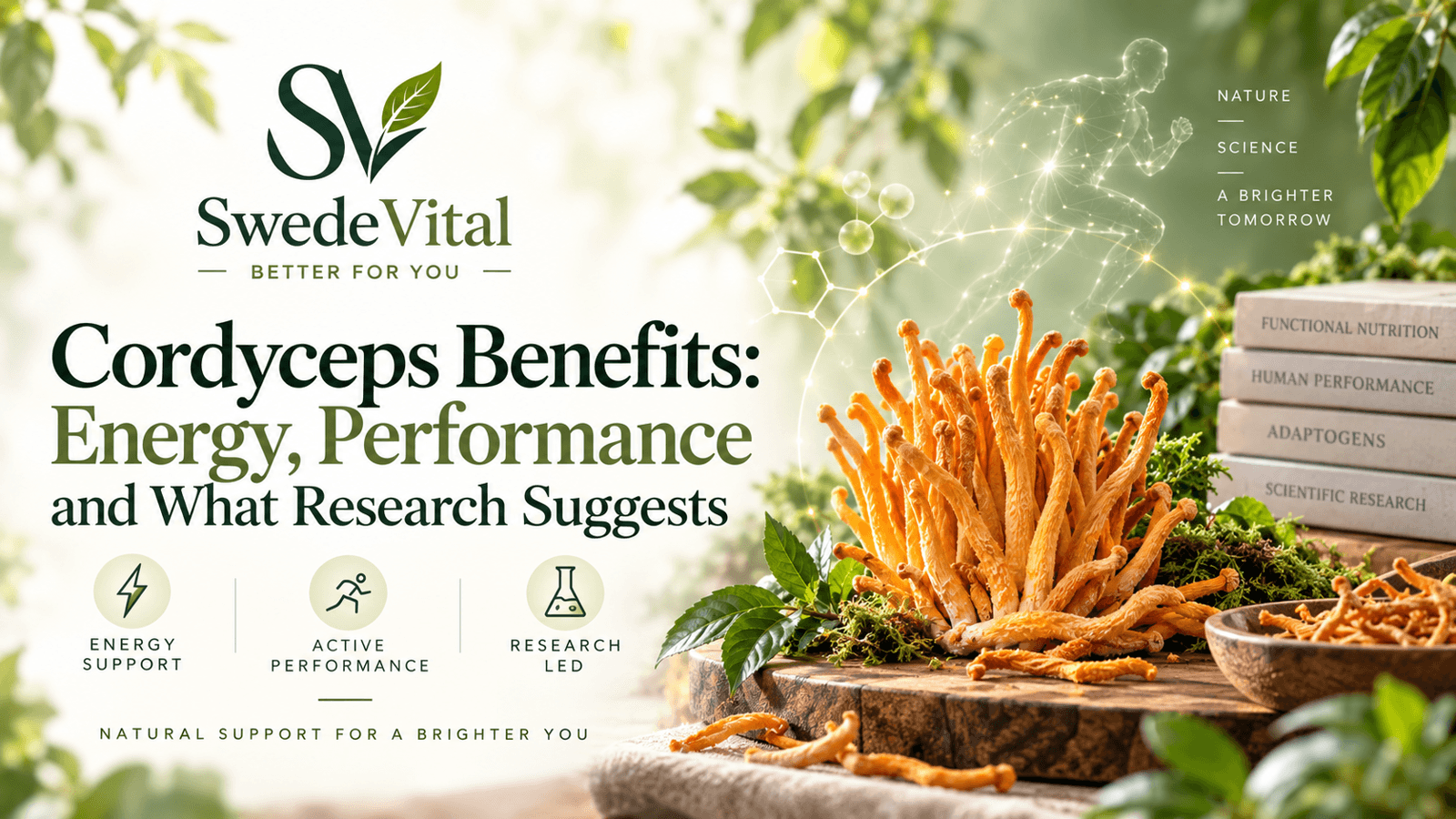 Cordyceps Benefits: Energy, Performance and What Research Suggests