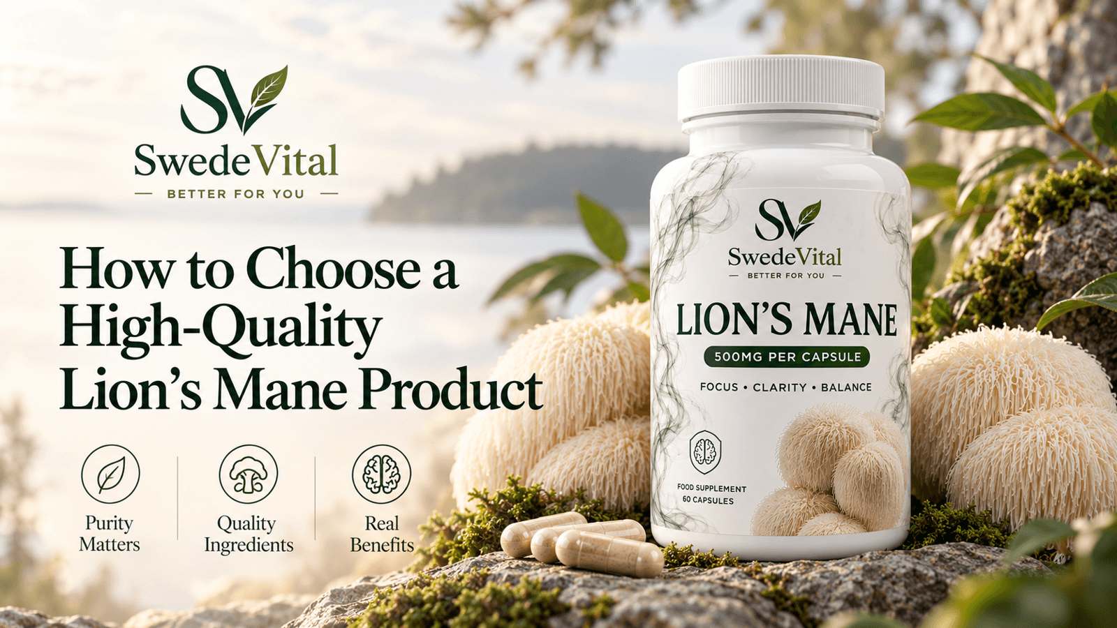 How to Choose a High-Quality Lion's Mane Product
