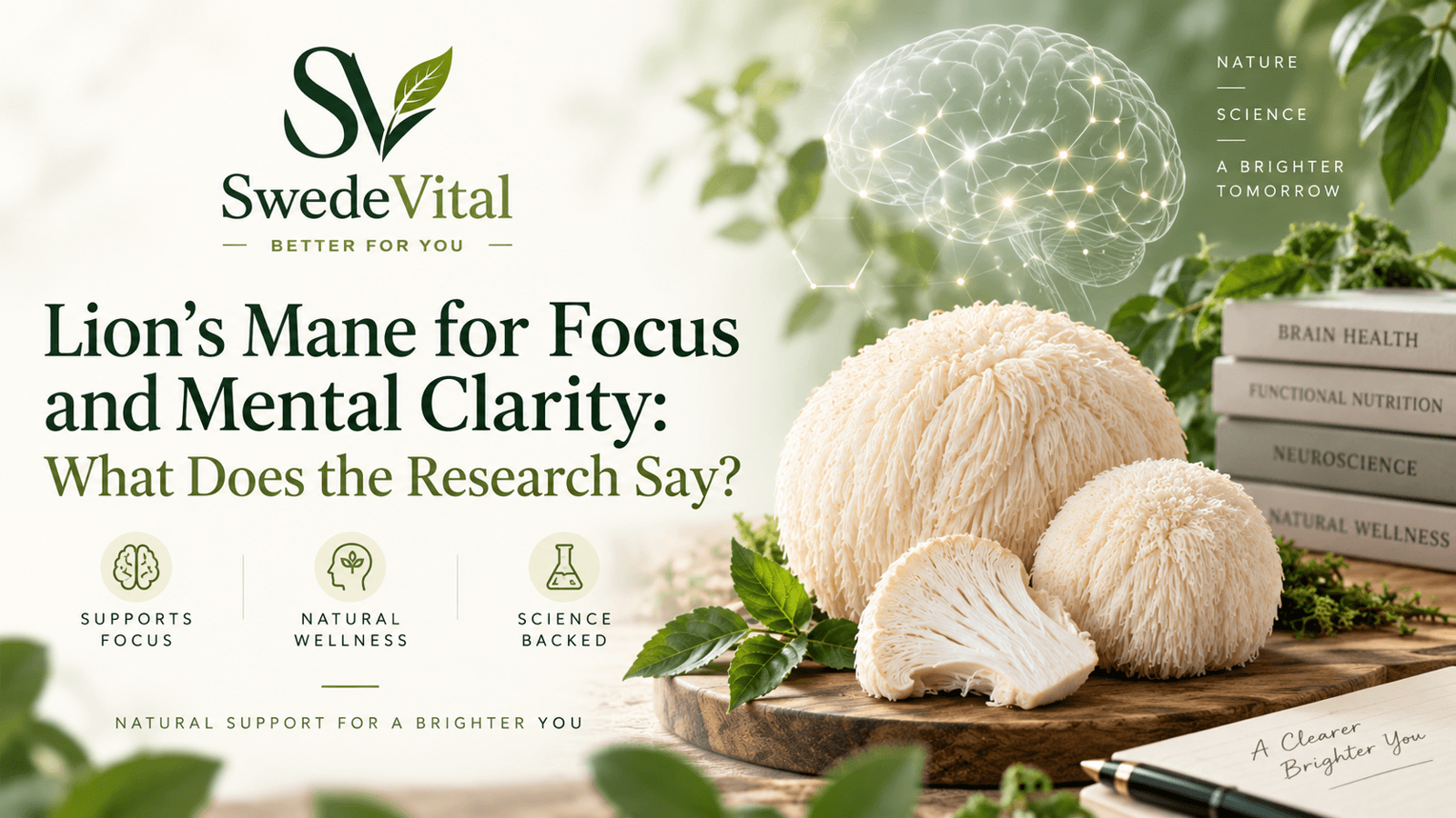 Lion's Mane for Focus and Mental Clarity: What Does the Research Say?