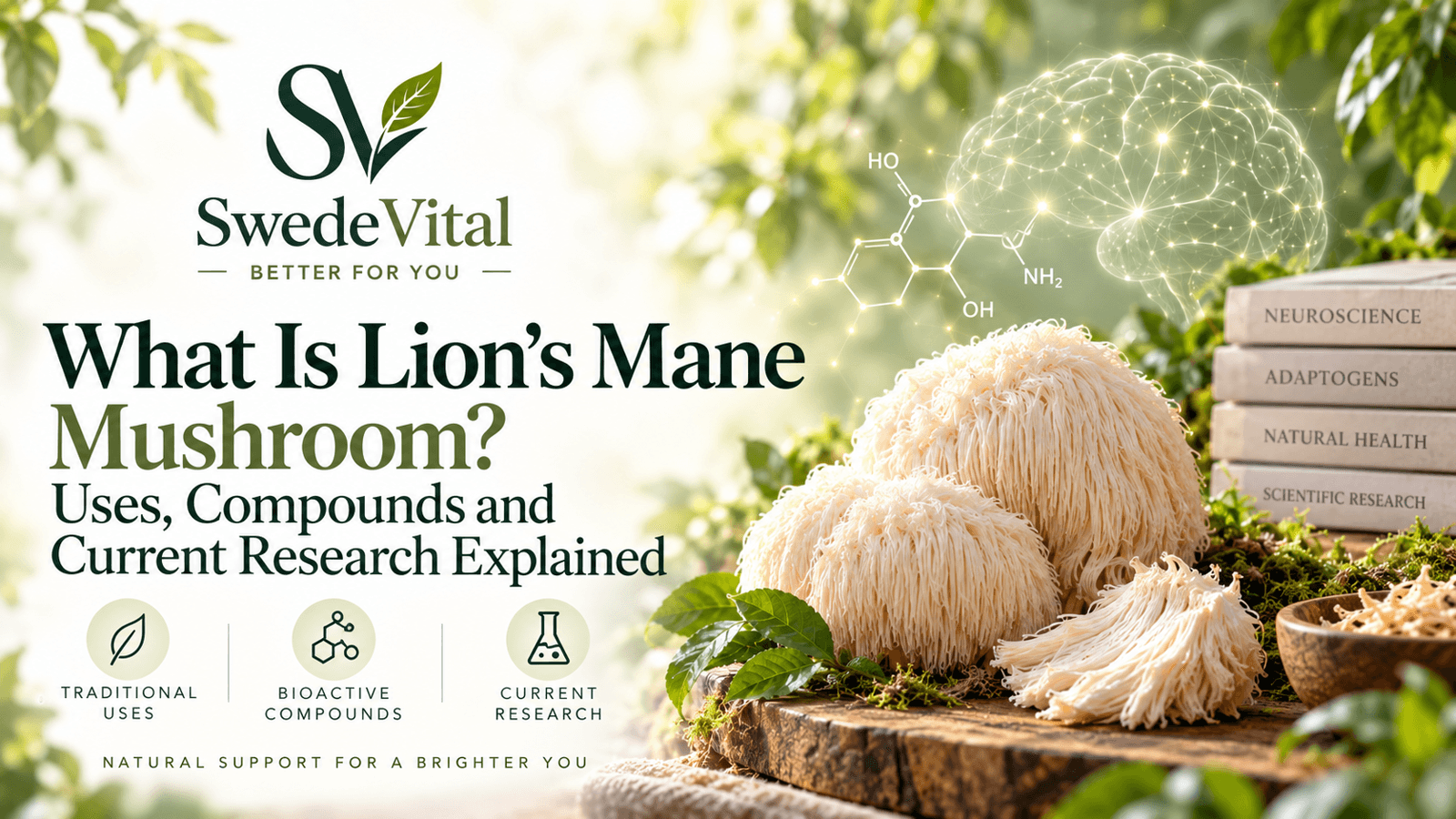 What Is Lion's Mane Mushroom? Uses, Compounds and Current Research Explained