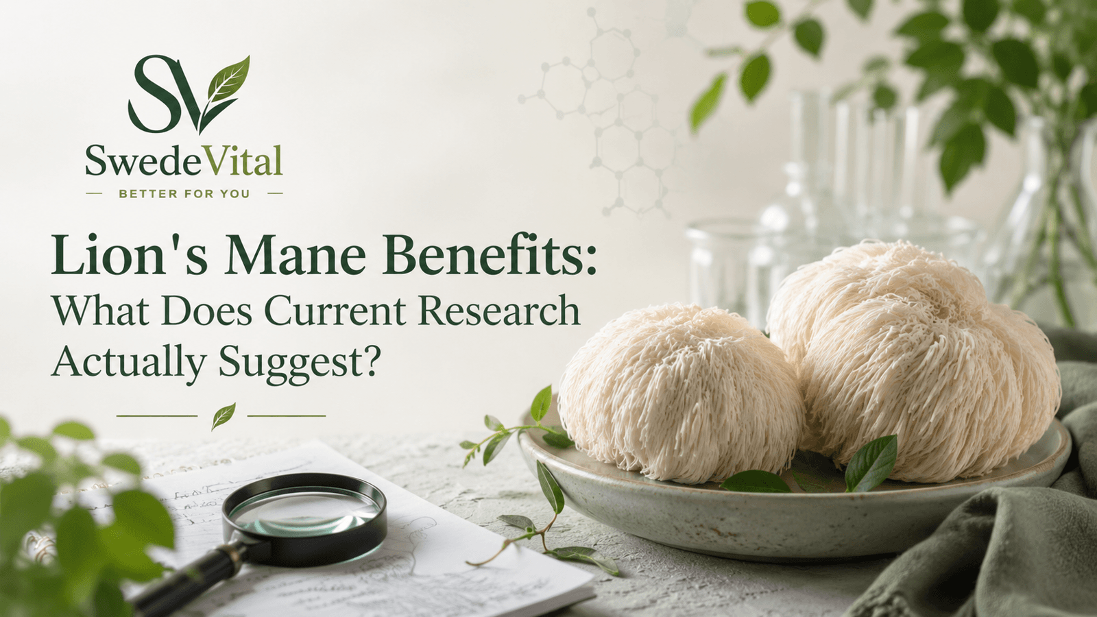 Lion's Mane Benefits: What Does Current Research Actually Suggest?