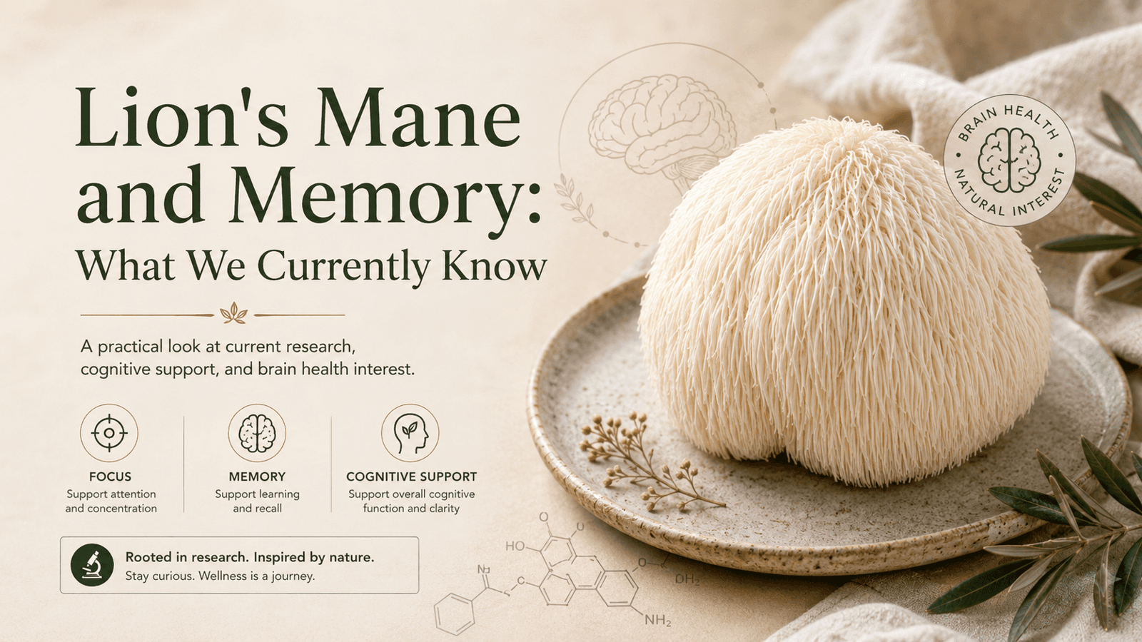 Lion's Mane and Memory: What We Currently Know