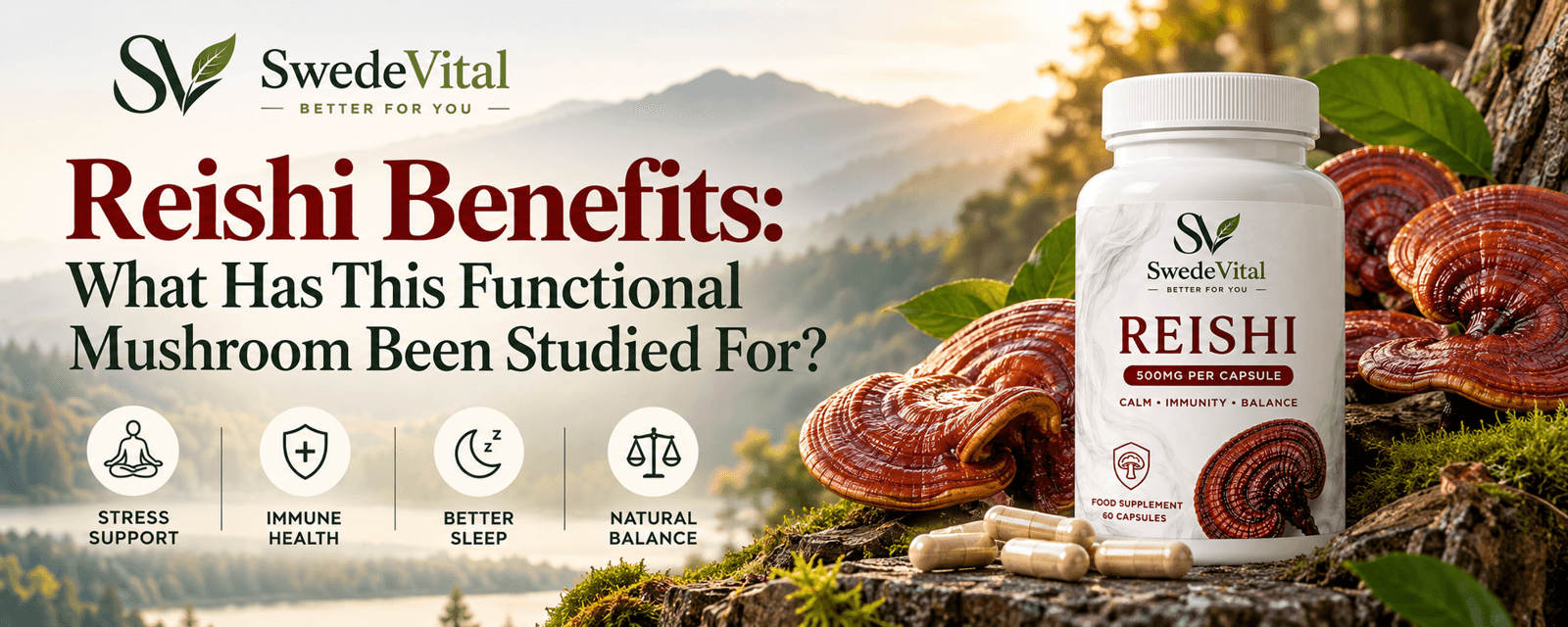 Reishi Benefits: What Has This Functional Mushroom Been Studied For?